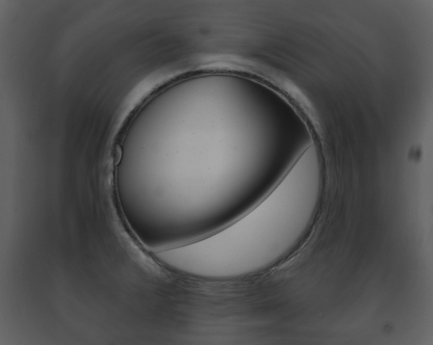 X0000091701376200708240923