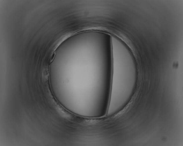X0000091701377200708240923