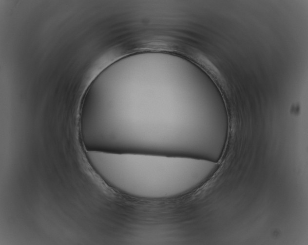 X0000091701378200708240923