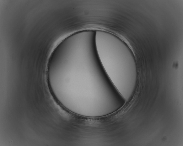 X0000091701379200708240923