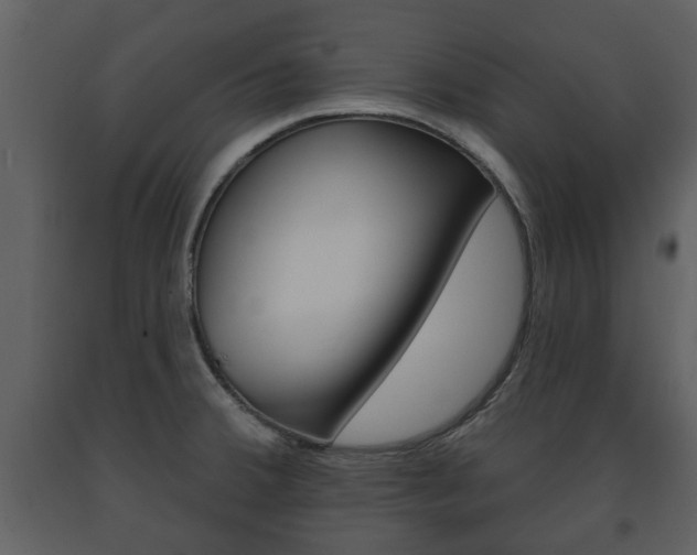 X0000091701380200708240923