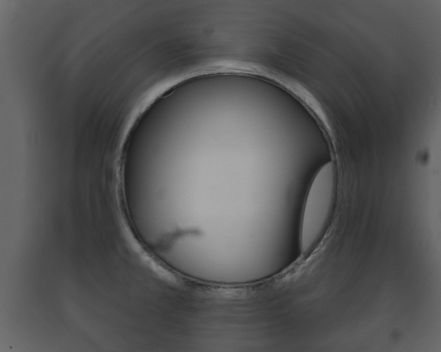 X0000091701381200708240923
