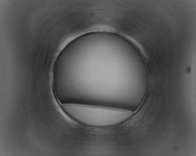 X0000091701383200708240923