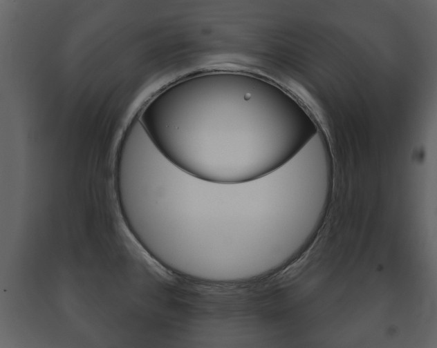 X0000091701384200708240923