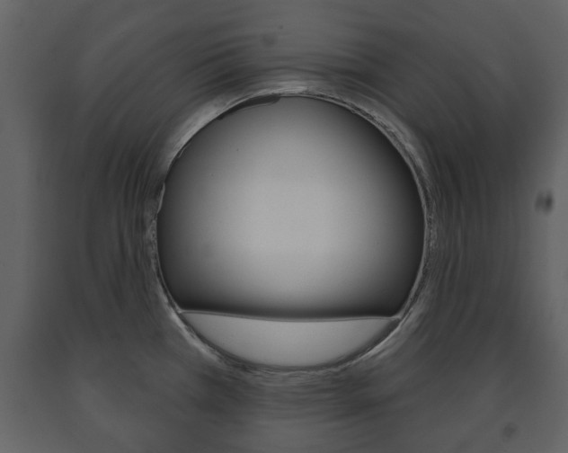 X0000091701385200708240923