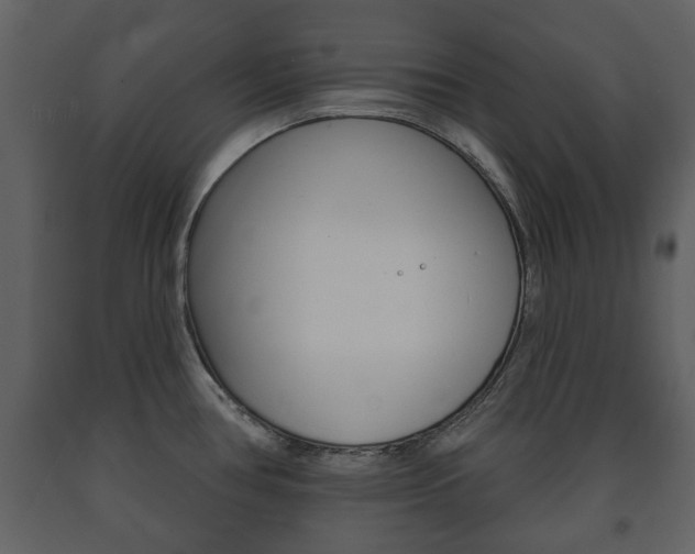 X0000091701386200708240923