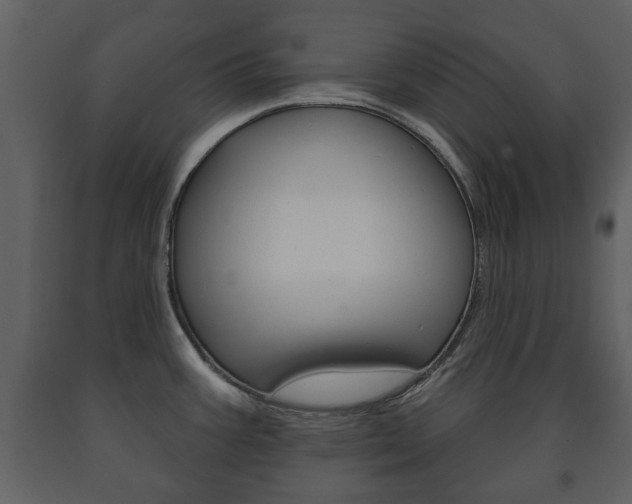 X0000091701387200708240923