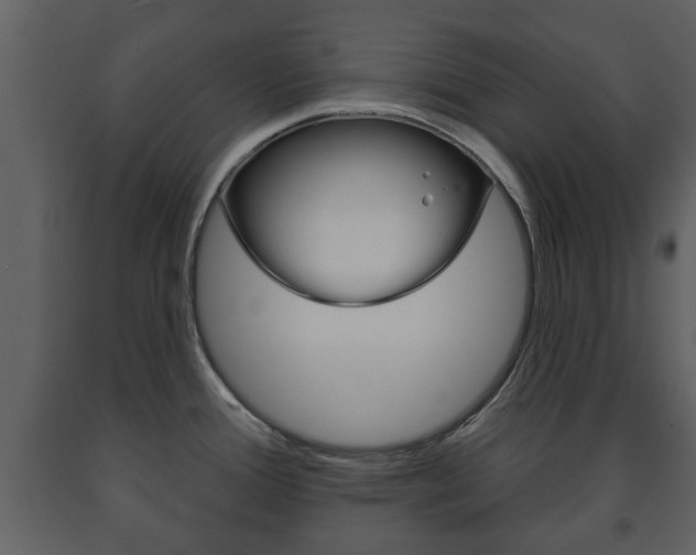 X0000091701388200708240923