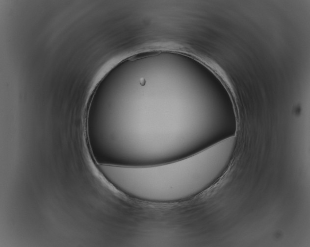 X0000091701389200708240923