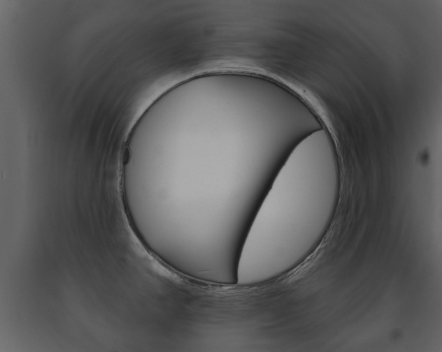 X0000091701390200708240923