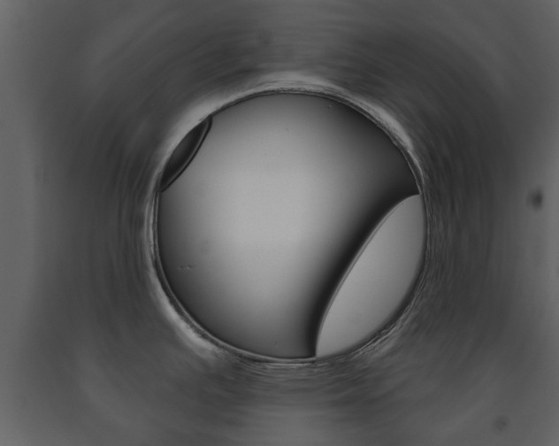 X0000091701391200708240923