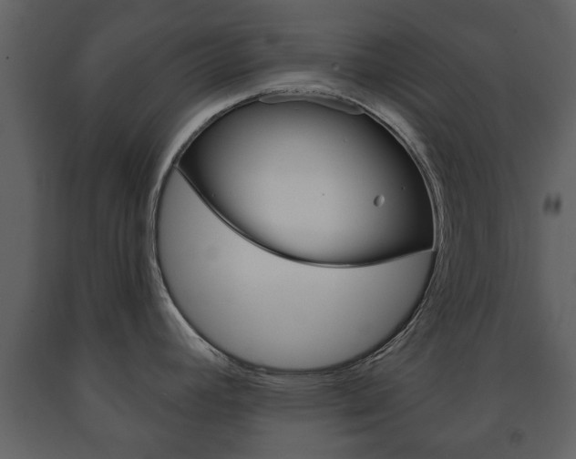 X0000091701392200708240923