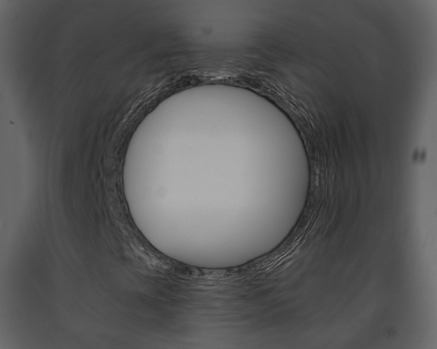 X0000091701393200708240922
