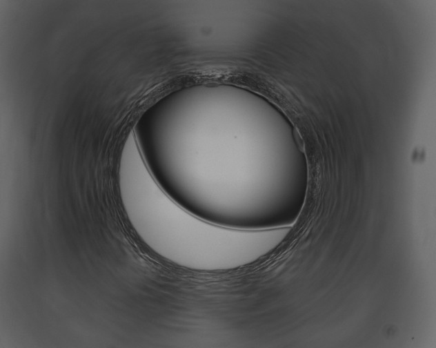 X0000091701394200708240922