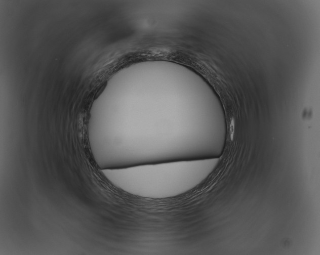 X0000091701395200708240922