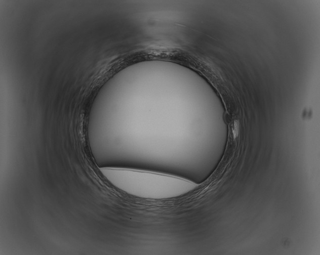 X0000091701396200708240922