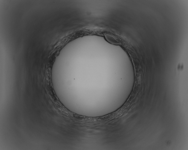 X0000091701397200708240922