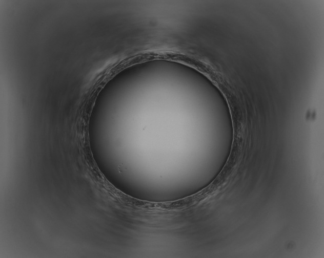 X0000091701398200708240922