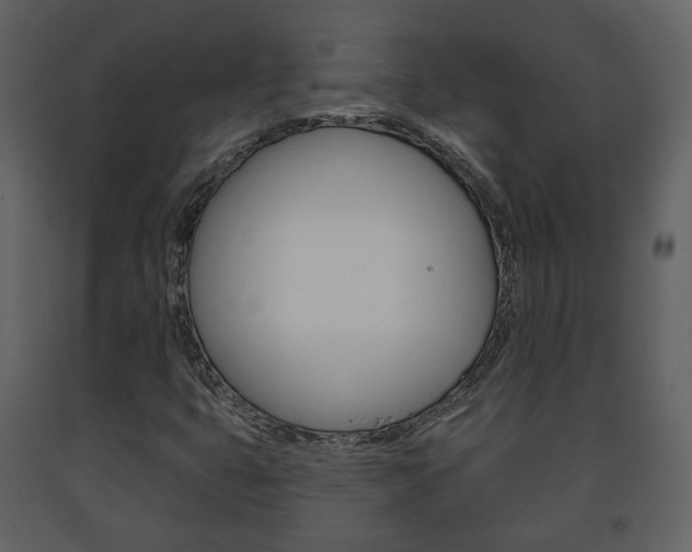 X0000091701399200708240922