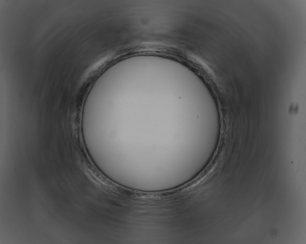 X0000091701403200708240922