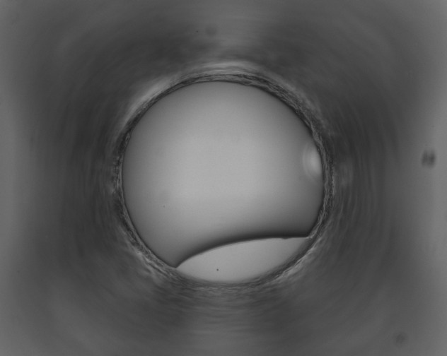 X0000091701405200708240922