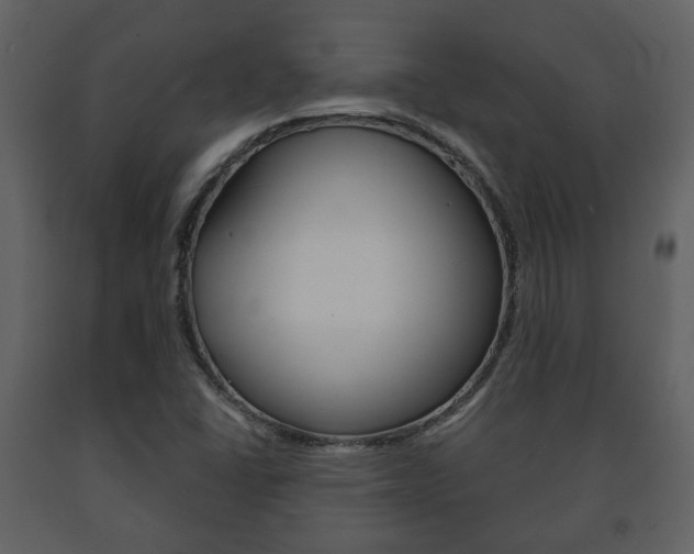 X0000091701406200708240923