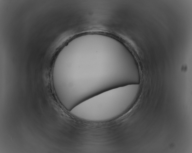 X0000091701407200708240923