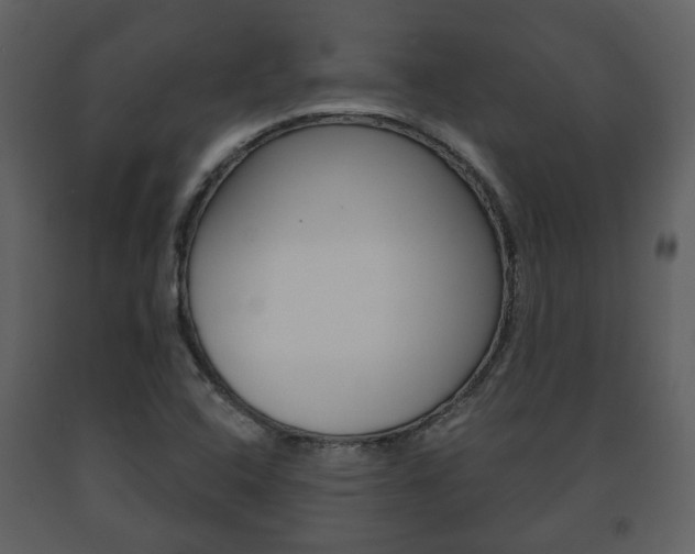 X0000091701408200708240923