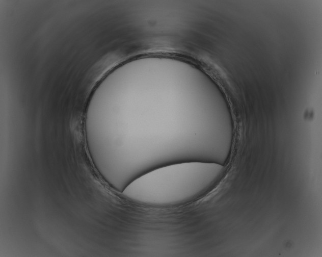 X0000091701409200708240923