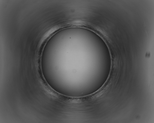 X0000091701410200708240923