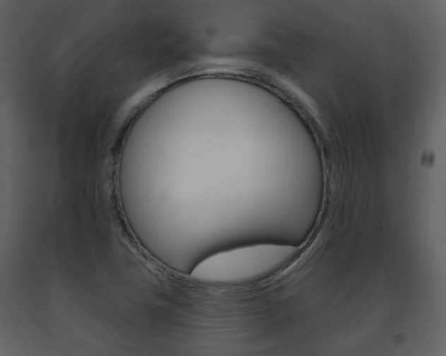 X0000091701411200708240923