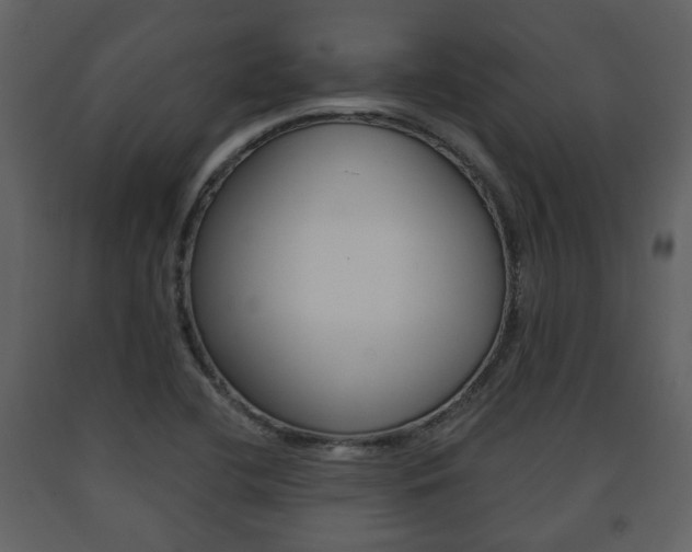 X0000091701412200708240923