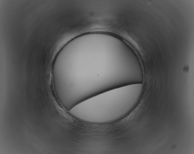 X0000091701413200708240923