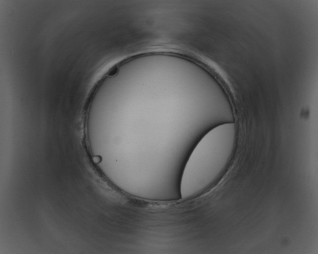 X0000091701415200708240923
