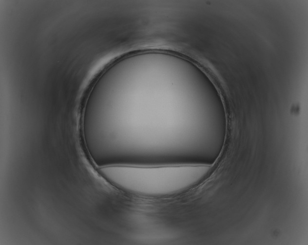 X0000091701416200708240923
