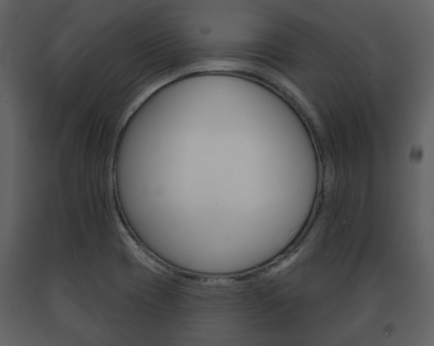 X0000091701417200708240923
