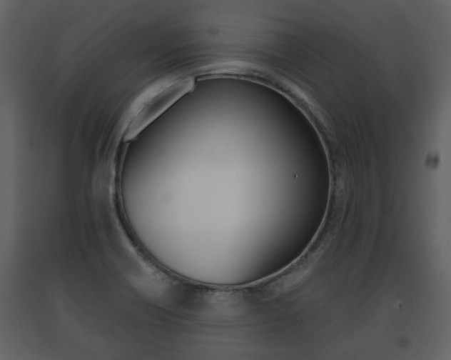 X0000091701418200708240923