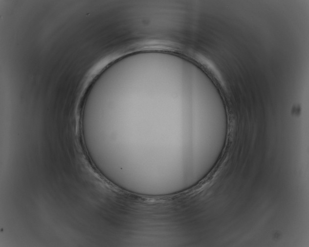 X0000091701419200708240923