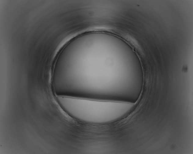 X0000091701420200708240923