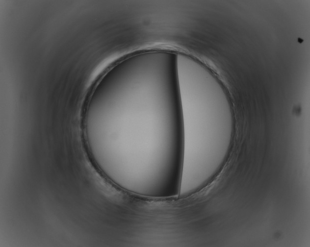 X0000091701422200708240923