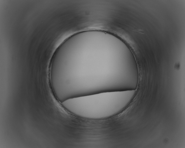 X0000091701423200708240923