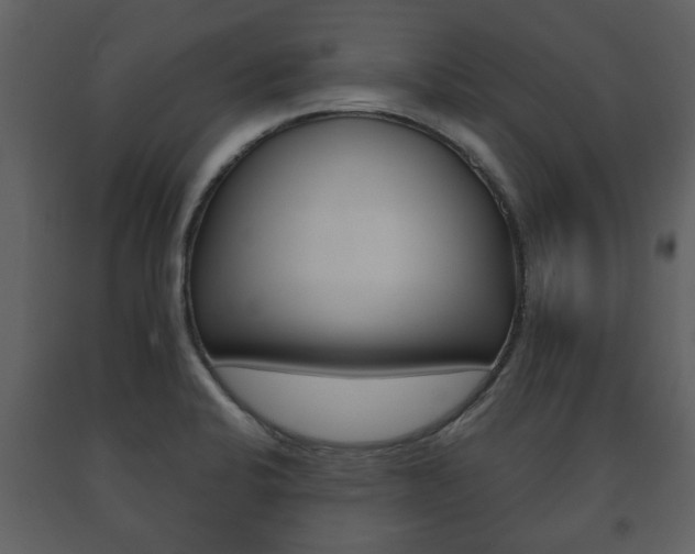 X0000091701424200708240923