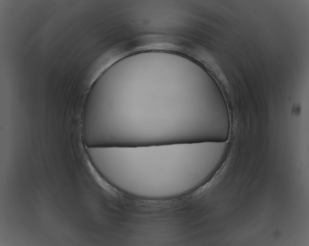 X0000091701425200708240923