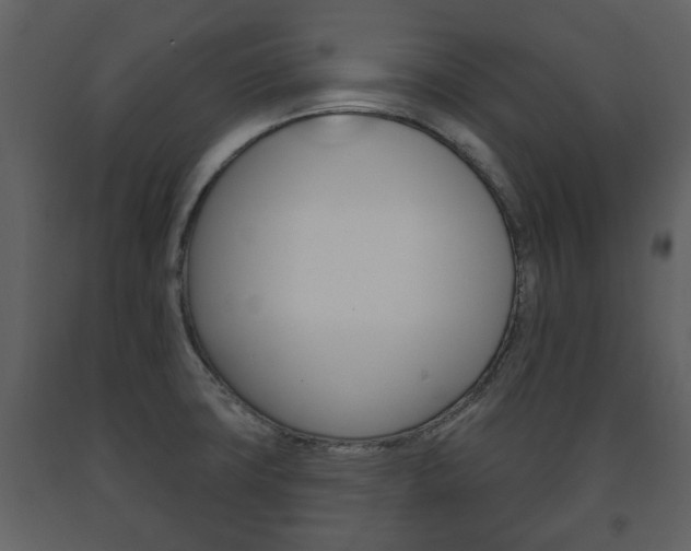 X0000091701427200708240923