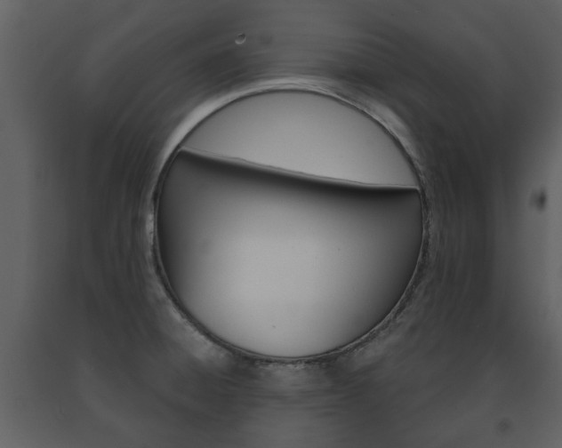 X0000091701428200708240923