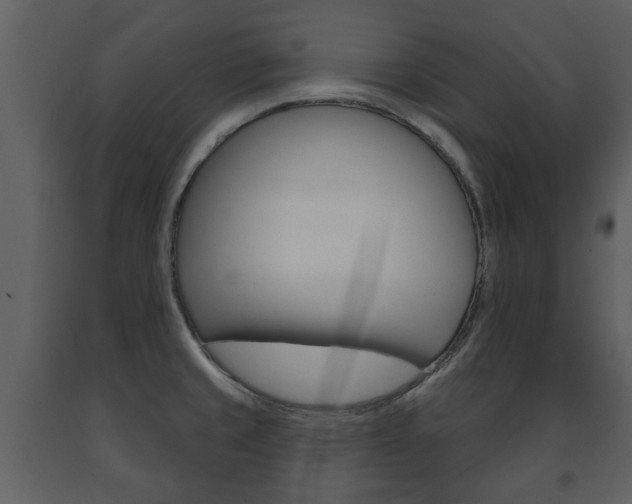 X0000091701429200708240923