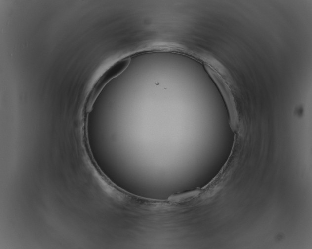 X0000091701430200708240923