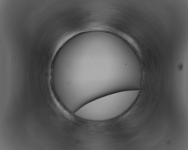 X0000091701431200708240923