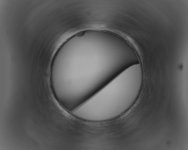 X0000091701432200708240923