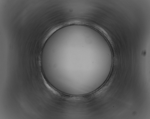X0000091701433200708240923